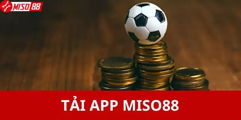 Giới thiệu về app Miso88